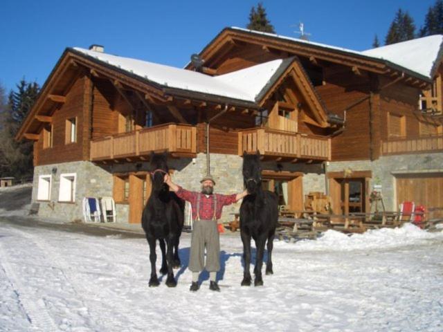 ヴァルディソット Agriturismo Chalet Caribonaヴィラ エクステリア 写真